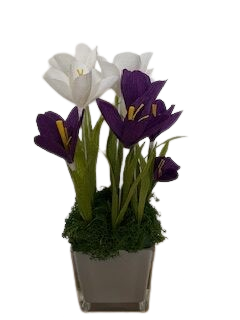 Paarse en witte crocussen van crêpepapier in een vierkante glazen pot