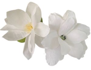 Twee grote witte magnoliabloemen van crêpepapier met geel hart